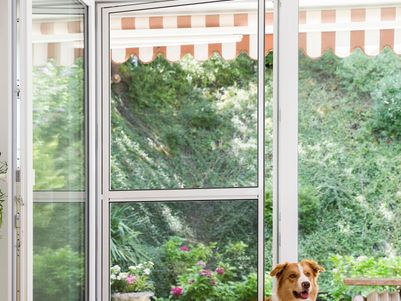 Insektenschutz von WO&WO